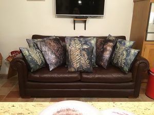 Fossil Fern Art Cushions