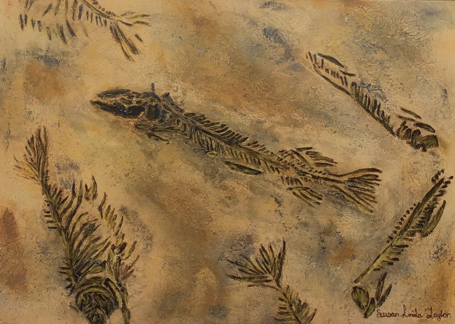 Fossil Fishes